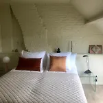 B&B Alexander
